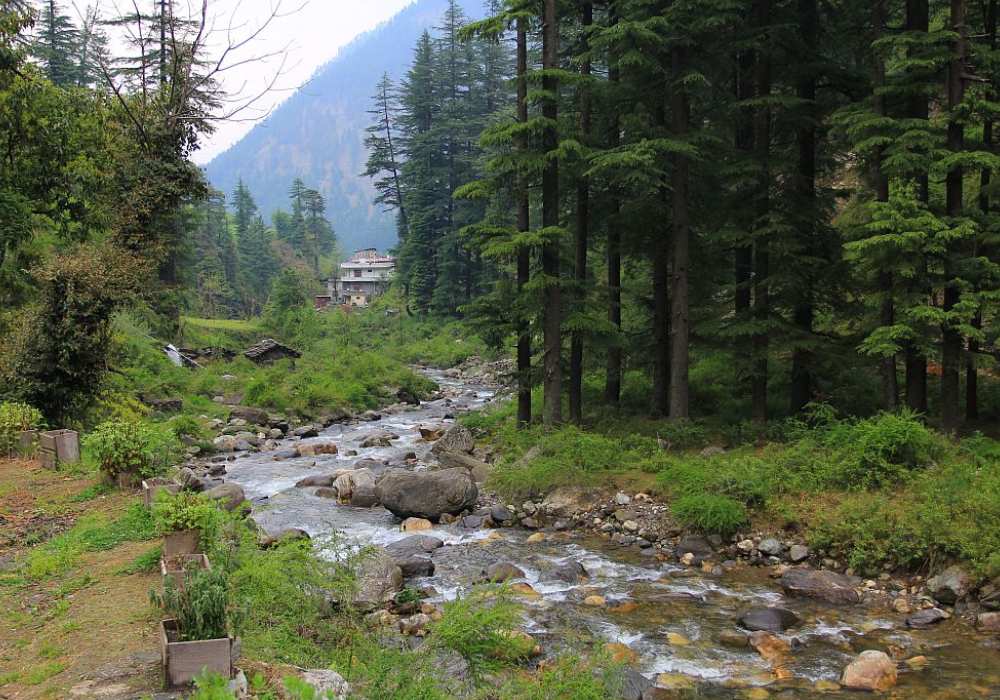 Tirthan Valley & Jibhi Trip from Delhi